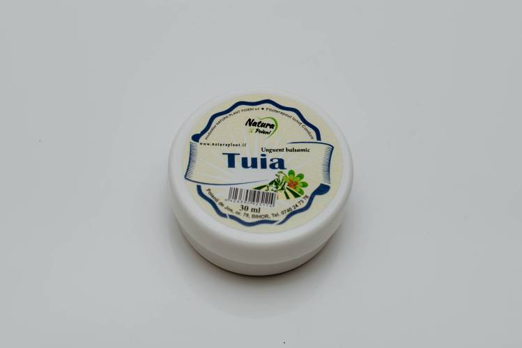 Unguent balsamic cu tuia, 30ml – Natura Plant Poieni