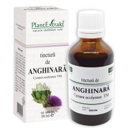 Tinctura Anghinara x 50ml (PLX)