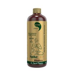 Otet Balsamic Kombucha Spike Cov 3x Biotics, 500 ml, Medica - ProNatura