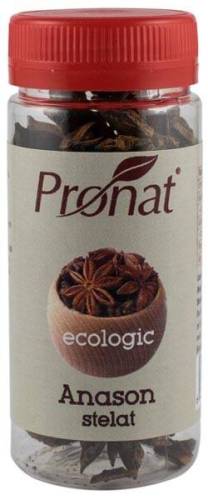 Anason stelat - eco-bio 20g - Pet - Pronat