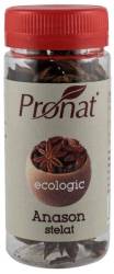 Anason stelat - eco-bio 20g - Pet - Pronat