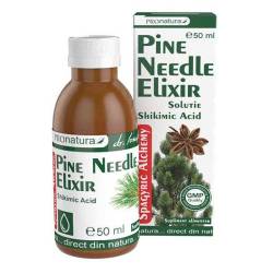 Extract din Ace de Pin – Pine Needle Elixir, 50 ml, Medica - Pro Natura