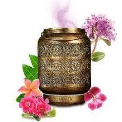 Aromatizor cu ultrasunete pentru uleiuri esentiale, Salking, Life Bio