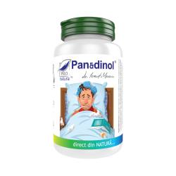 Pan & Dinol, 40 Capsule, Medica - Pro Natura