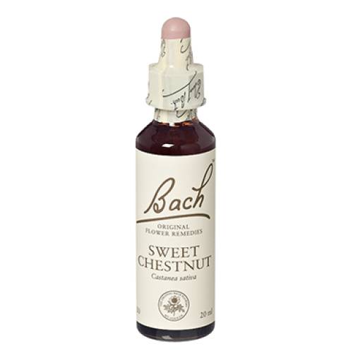 Sweet chestnut - Castan comestibil (Bach30) 20ml - Remediu Floral Bach