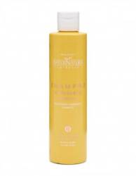 Sampon pentru parul uscat cu musetel, 250 ml, Maternatura
