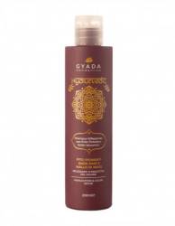 Sampon revitalizare culoare par saten, 200 ml – Hyalurvedic Gyada