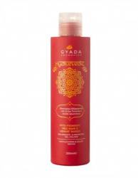 Sampon revitalizare culoare par roscat, 200 ml – Hyalurvedic Gyada