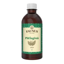 Sirop de Patlagina, 500ml - Faunus Plant
