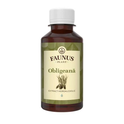 Tinctura Obligeana 200ml - Faunus Plant