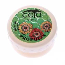 Unguent cu Propolis, 20g - CETA