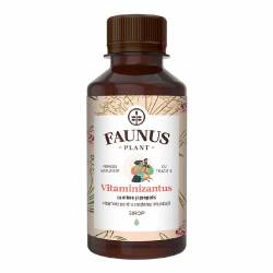 Sirop Vitaminizantus cu Miere si Propolis, 200 ml, Faunus Plant