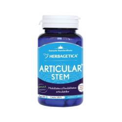 Articular Stem, 30 capsule, Herbagetica
