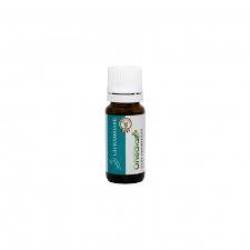 Ulei esential de Rozmarin, 30 ml, Onedia