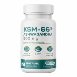 Ashwagandha KSM66 500mg, 30 capsule, Nutrific