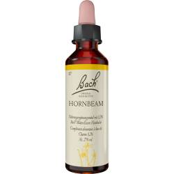 Bachblüten Hornbeam Tropfen 20 ml