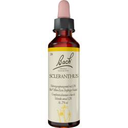 Bachblüten Scleranthus Tropfen 20 ml