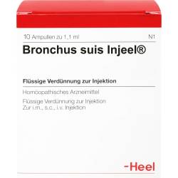 Bronchus suis Injeel Ampullen 10 St