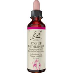 Bachblüten Star of Bethlehem Tropfen 20 ml