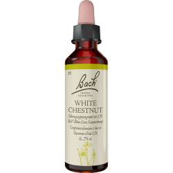 Bachblüten White Chestnut Tropfen 20 ml