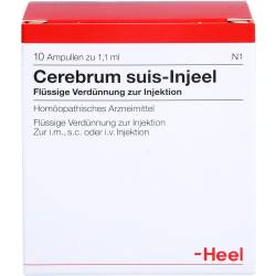 Cerebrum Suis Injeel Ampullen 10 St