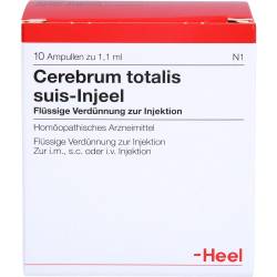 Cerebrum Totalis suis Injeel Ampullen 10 St