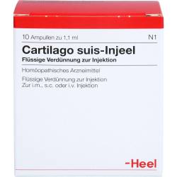Cartilago suis Injeel Ampullen 10 St