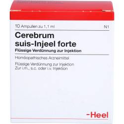 Cerebrum Suis Injeel forte Ampullen 10 St