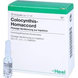 Colocynthis Homaccord Ampullen 10 St