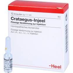 Crataegus Injeel Ampullen 10 St