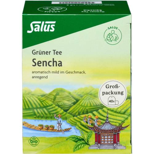 Grüner Tee Bio Salus Filterbeutel Großpackung 40 St