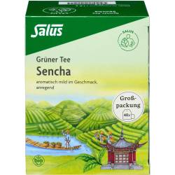 Grüner Tee Bio Salus Filterbeutel Großpackung 40 St