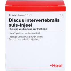 Discus Intervertebralis suis Injeel Ampullen 10 St