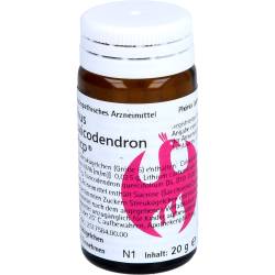 Rhus Toxicodendron Phcp Globuli 20 g