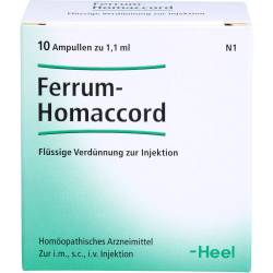 Ferrum Homaccord Ampullen 10 St