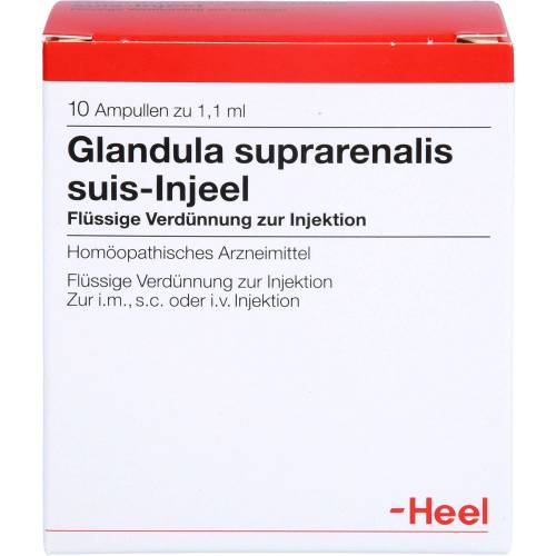 Glandula Suprarenalis suis Injeel Ampullen 10 St