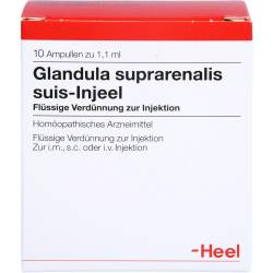 Glandula Suprarenalis suis Injeel Ampullen 10 St