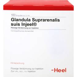 Glandula Suprarenalis suis Injeel Ampullen 100 St