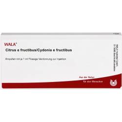 Citrus E Fructibus/Cydonia e fructibus Ampullen 10 ml