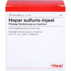 Hepar Sulfuris Injeel Ampullen 10 St