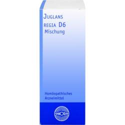 Juglans Regia D 6 Dilution 20 ml