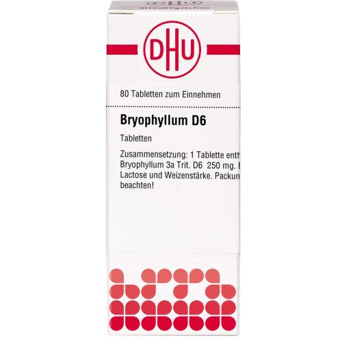 Bryophyllum D 6 Tabletten 80 St