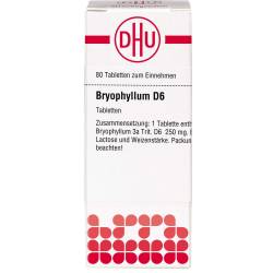 Bryophyllum D 6 Tabletten 80 St