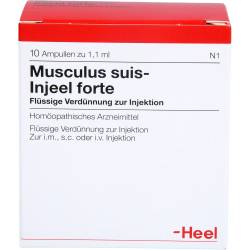 Musculus Suis Injeel forte Ampullen 10 St