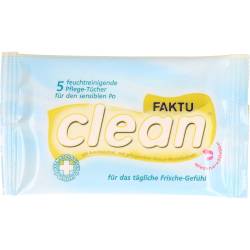 Faktuclean Tücher 5 St