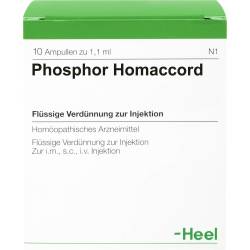 Phosphor Homaccord Ampullen 10 St