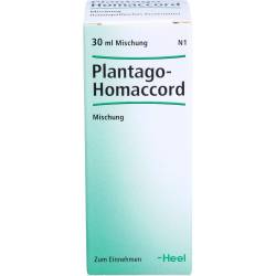 Plantago Homaccord Tropfen 30 ml