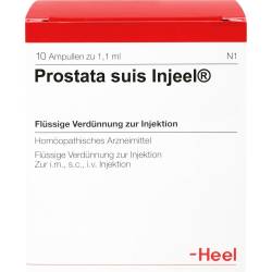 Prostata Suis Injeel Ampullen 10 St