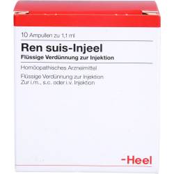 Ren suis Injeel Ampullen 10 St