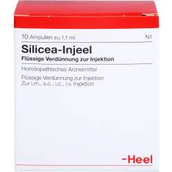 Silicea Injeel Ampullen 10 St